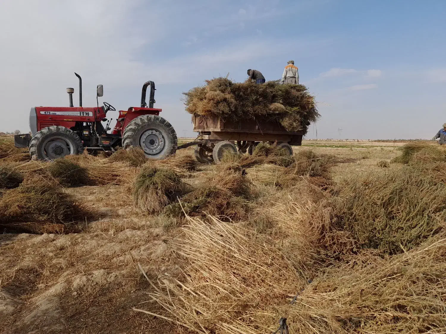 جاروی فراشی عمده|خدمات نظافت|حبیب آباد, |دیوار