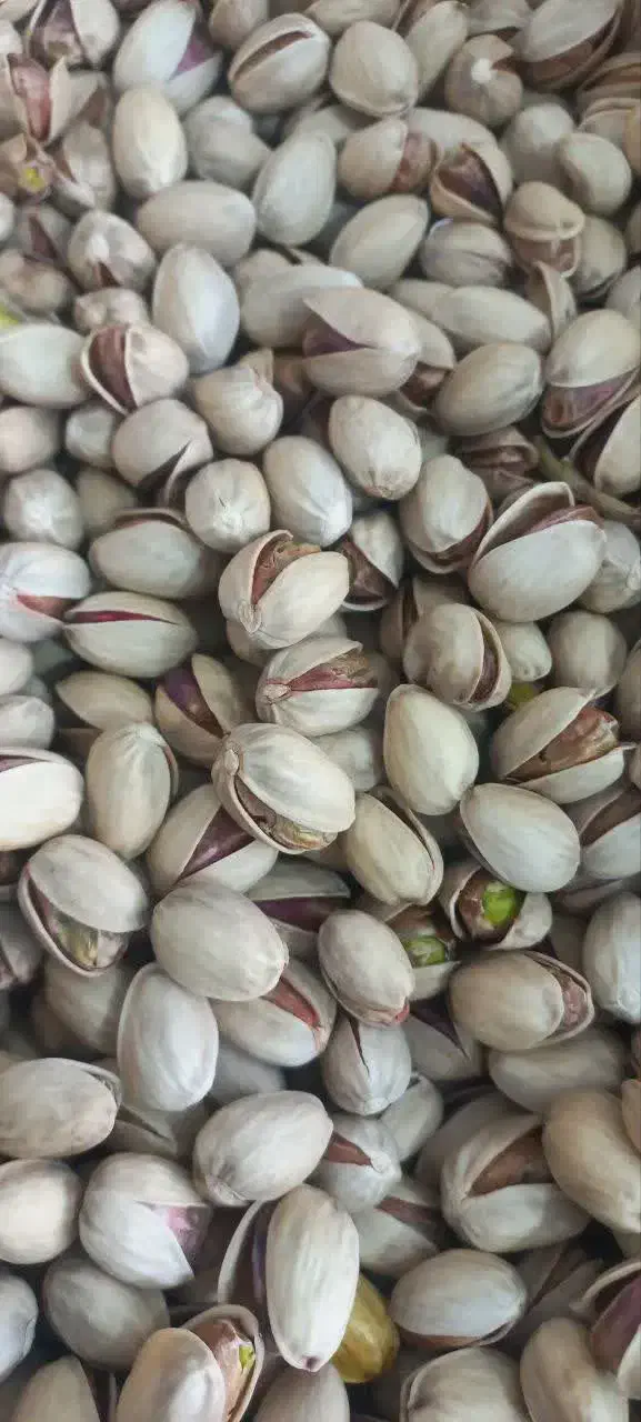 پسته احمدآقایی و اکبری با تخفیف امکان تست قبل خرید|خوردنی و آشامیدنی|قم, بلوار امین و ساحلی|دیوار