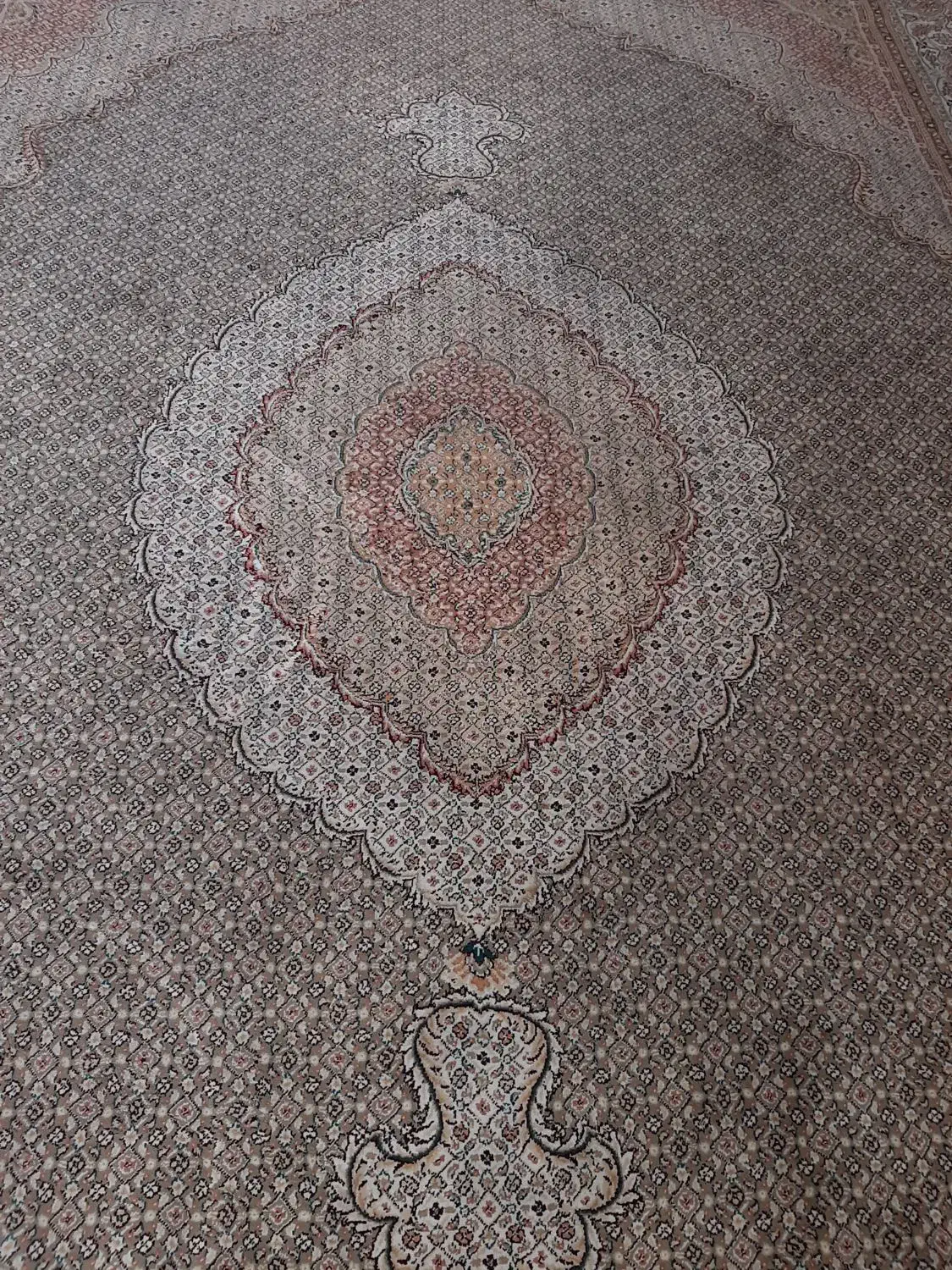 فرش|کالسکه و لوازم جانبی|سهند, |دیوار