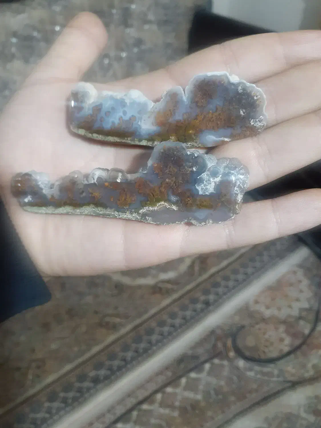 سنگ های شجرو املتیس معاوضه طوطی|کلکسیون اشیاء عتیقه|کرج, خرمدشت|دیوار