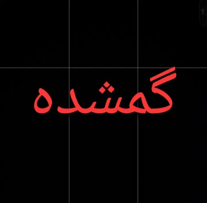 بچه گربه گمشده|گربه|زابل, |دیوار