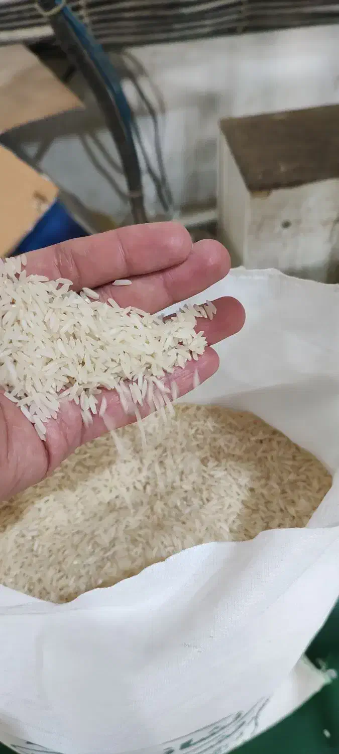 فروش عمده و خرده انواع برنج ایرانی از شالیکوبی|خوردنی و آشامیدنی|بابکان, |دیوار