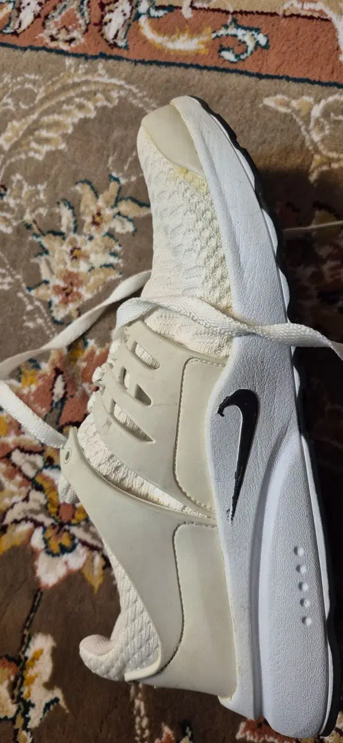 کتونی ورزشی|کیف، کفش، کمربند|تهران, قصر فیروزه ۱|دیوار