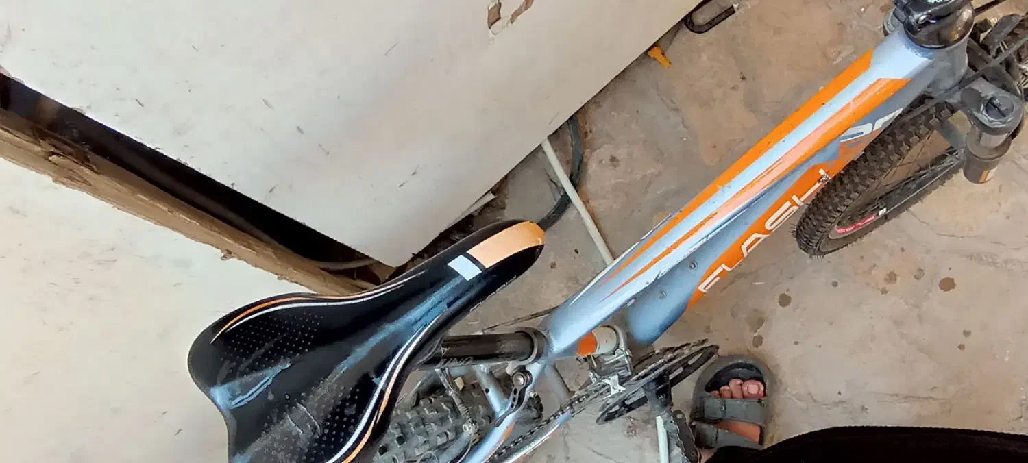 دوچرخه فلش سایز 20|دوچرخه، اسکیت، اسکوتر|نیشابور, شهید بهشتی|دیوار