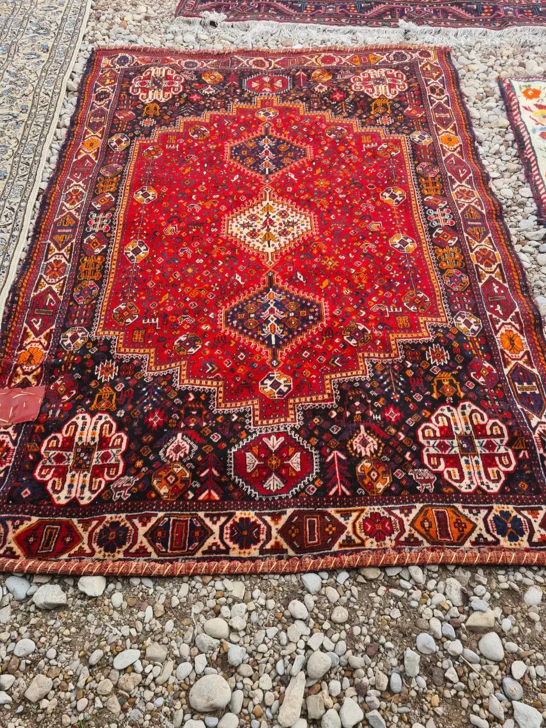 فرش|فرش|شیراز, شاه قلی بیگی|دیوار