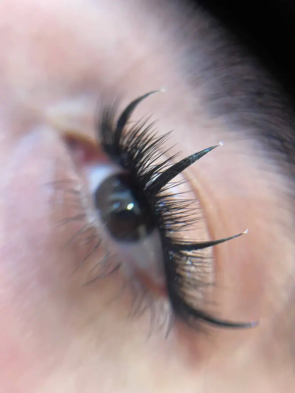 مژه|خدمات آرایشگری و زیبایی|رشت, لاکانی|دیوار