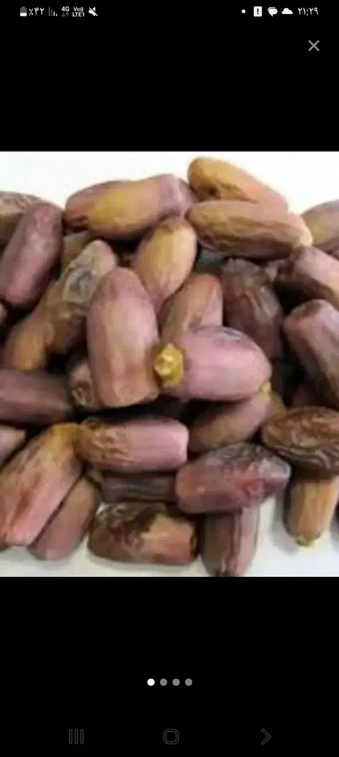 حشف|عمده‌فروشی|خرمشهر, |دیوار