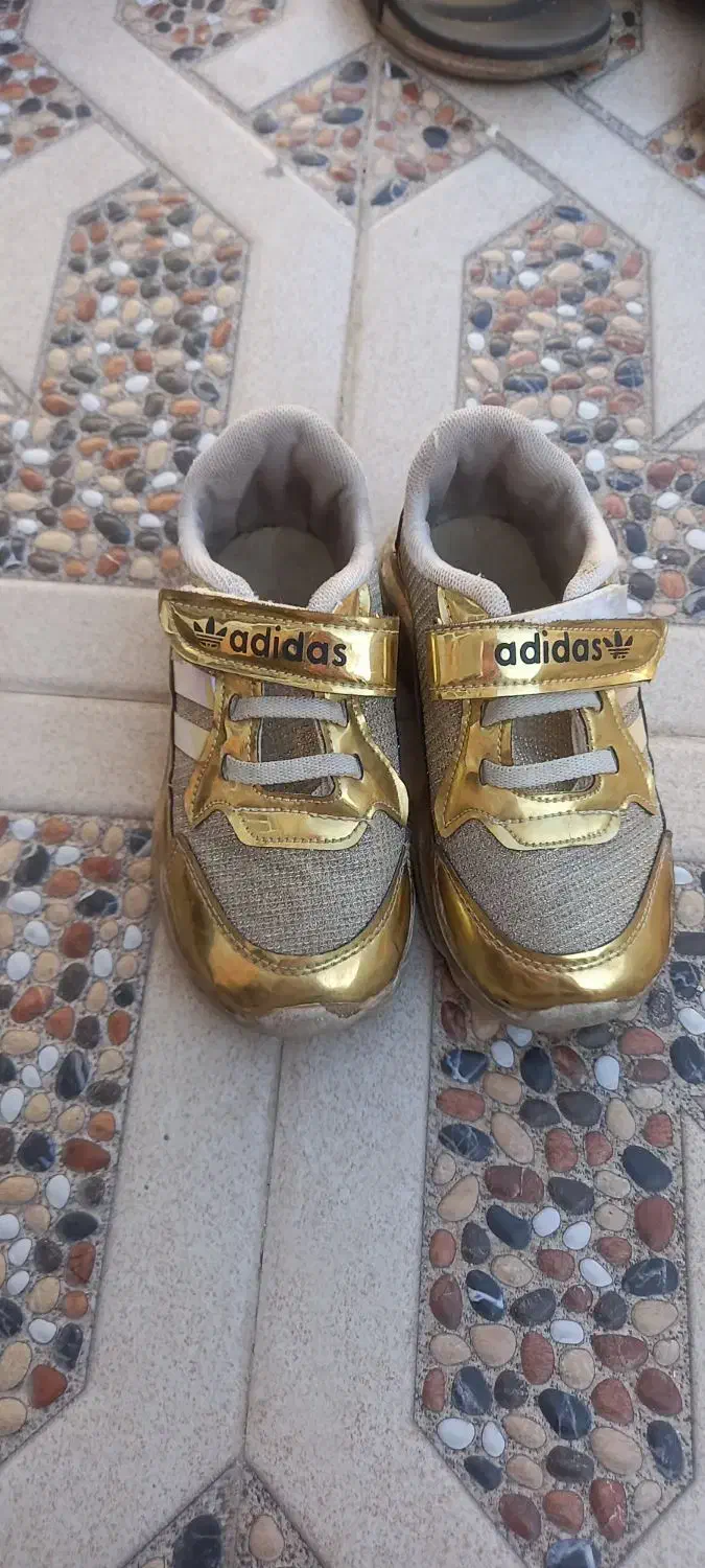 کفش|کیف، کفش، کمربند|اهر, |دیوار