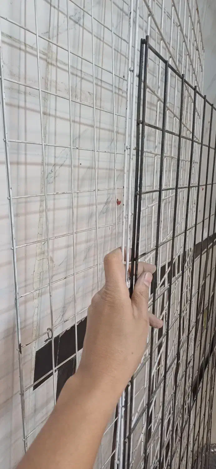 رگال توری|فروشگاه و مغازه|مشهد, شهید آوینی|دیوار