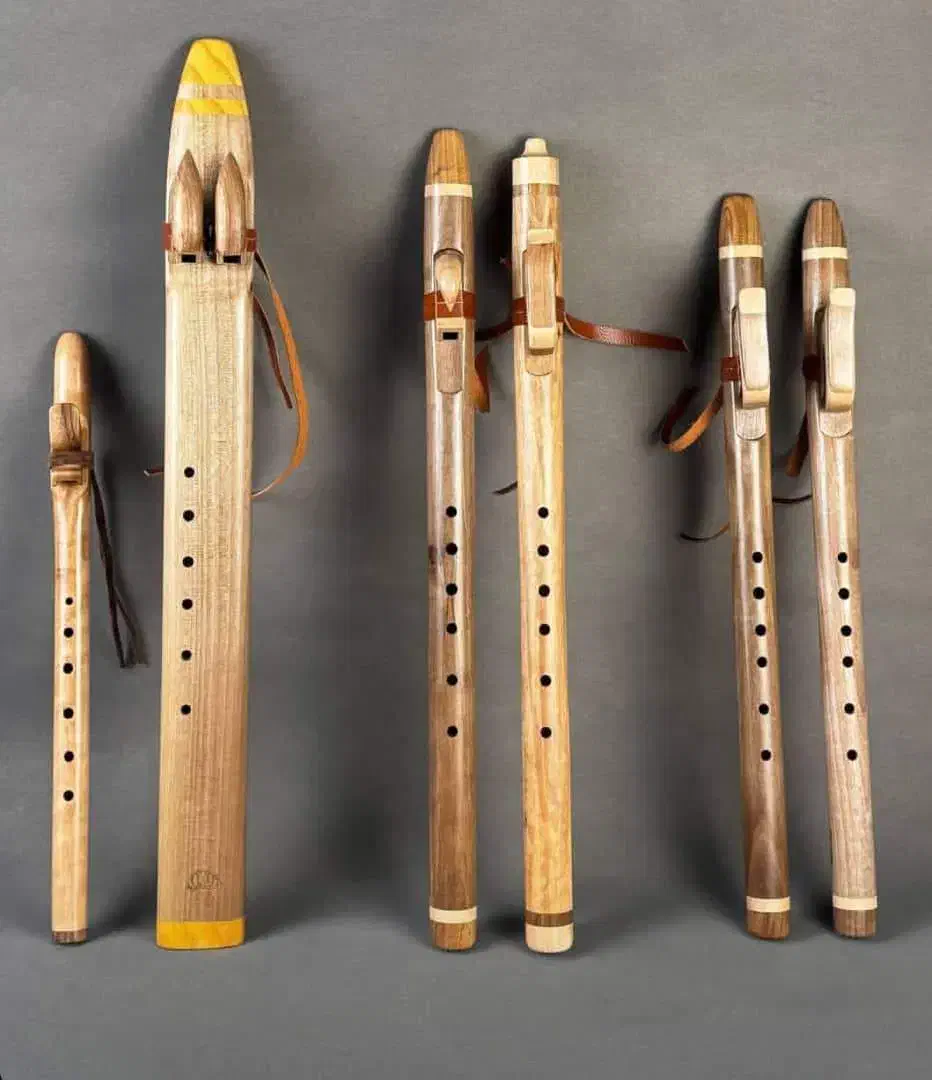 لاکوتا لا درون(35% تخفیف)|سازهای بادی|شیراز, سیلو|دیوار