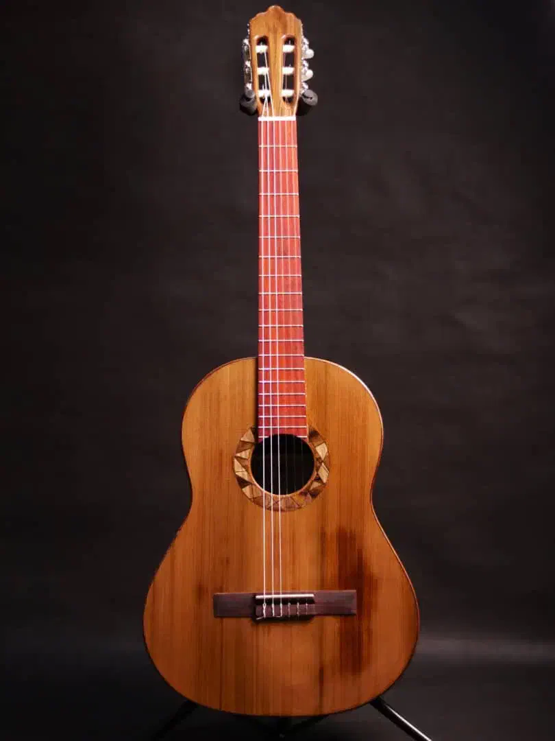 گیتار Doris|گیتار، بیس، امپلیفایر|اصفهان, باغ زرشک|دیوار