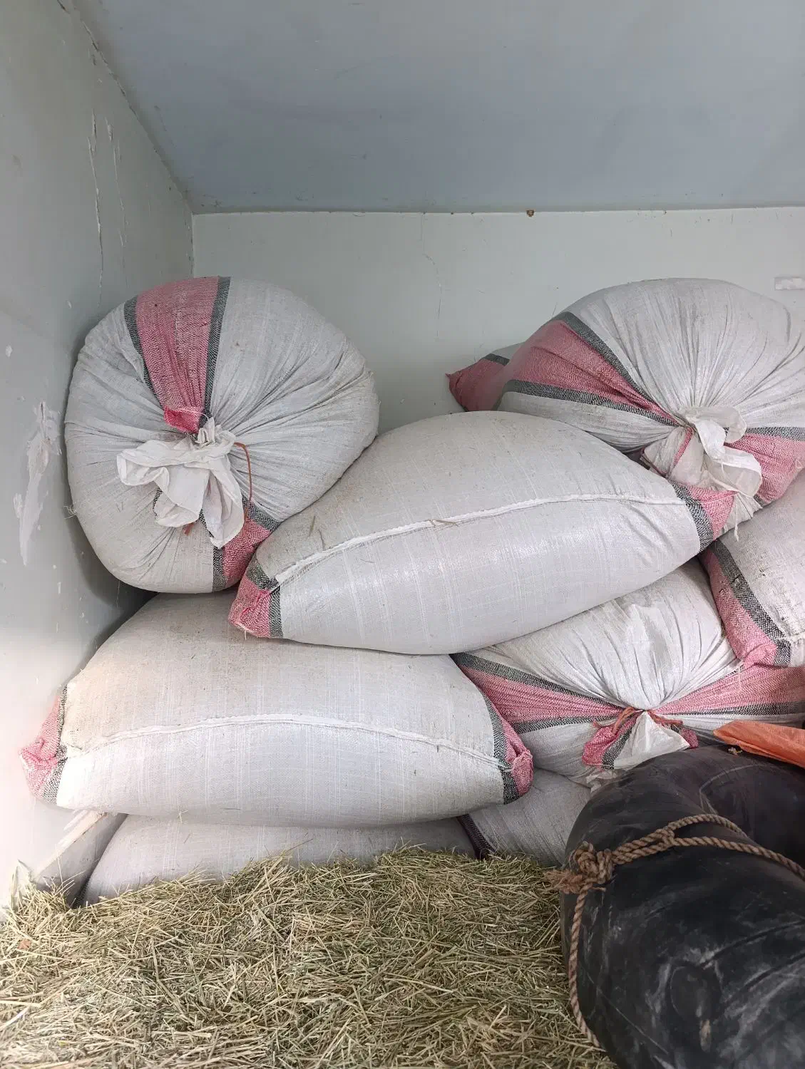 کاه یونجه|لوازم جانبی حیوانات|بروجرد, |دیوار