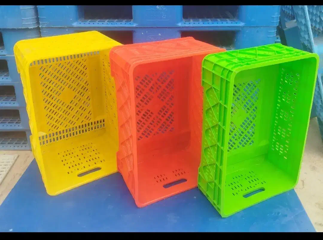 سبد مرغی یا برای هر چیزی|ظروف نگهدارنده، پلاستیکی، یک‌بارمصرف|شیراز, شهدای شهرک سعدی|دیوار