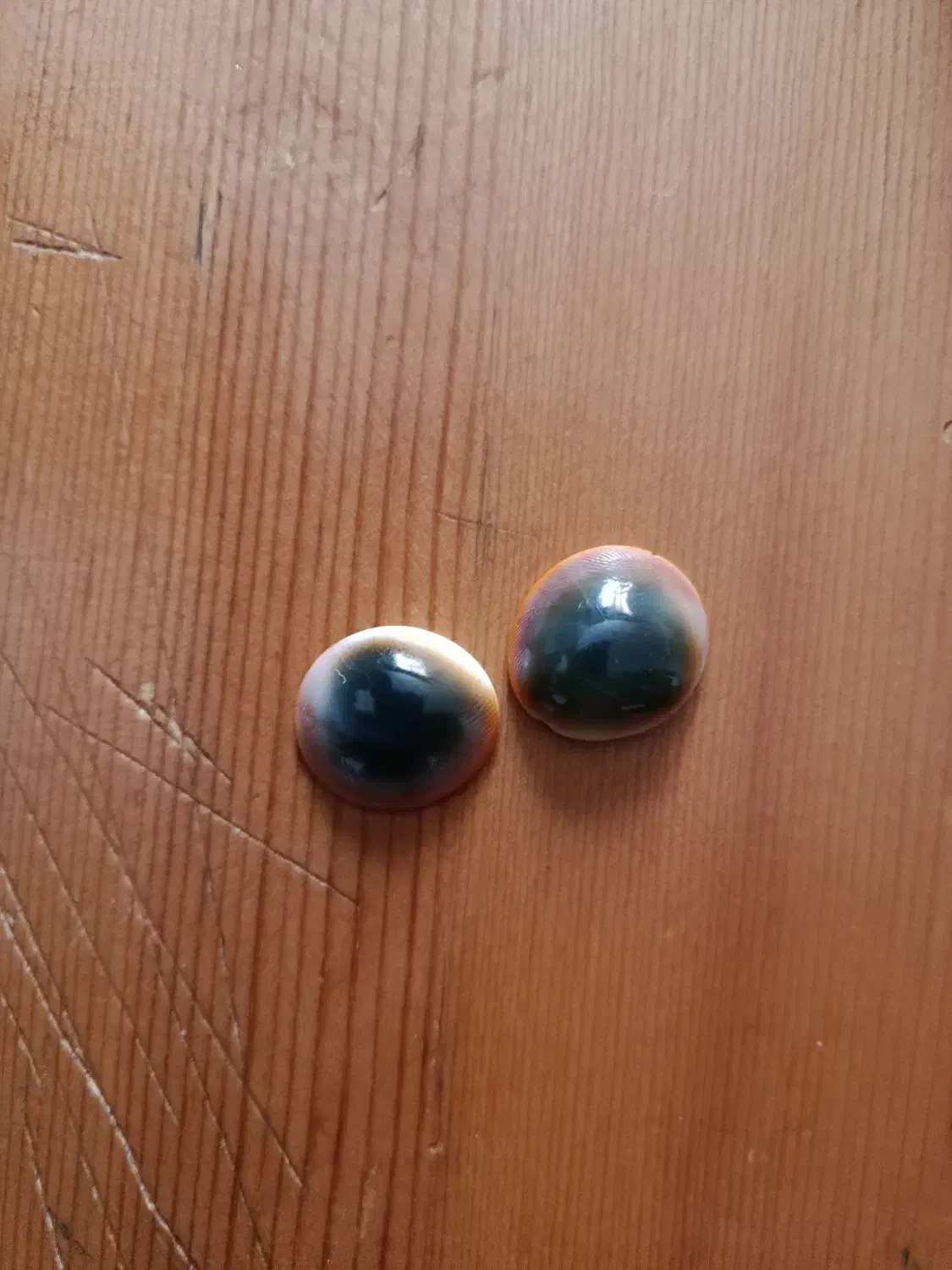 مهرع|بدلیجات|تربت‌حیدریه, شهرک ولیعصر|دیوار