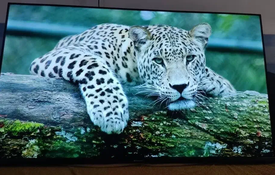 تلویزیون ال ای دی ۵۰اینج مدیا استار فورکی اندروید|تلویزیون و پروژکتور|آبادان, |دیوار