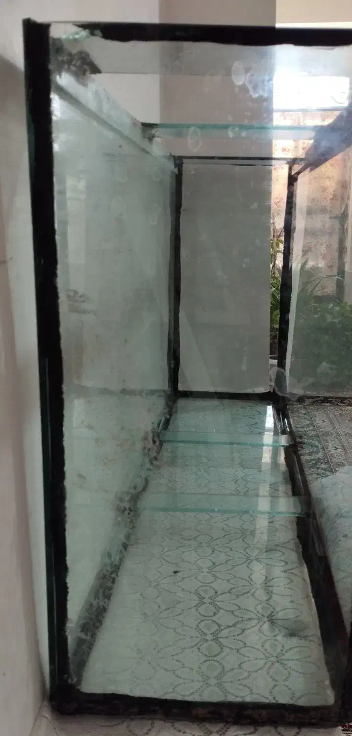 فروش اکواریوم|ماهی|جهرم, |دیوار