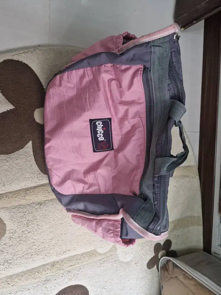 کالسکه دلیجان|کالسکه و لوازم جانبی|تهران, حشمتیه|دیوار