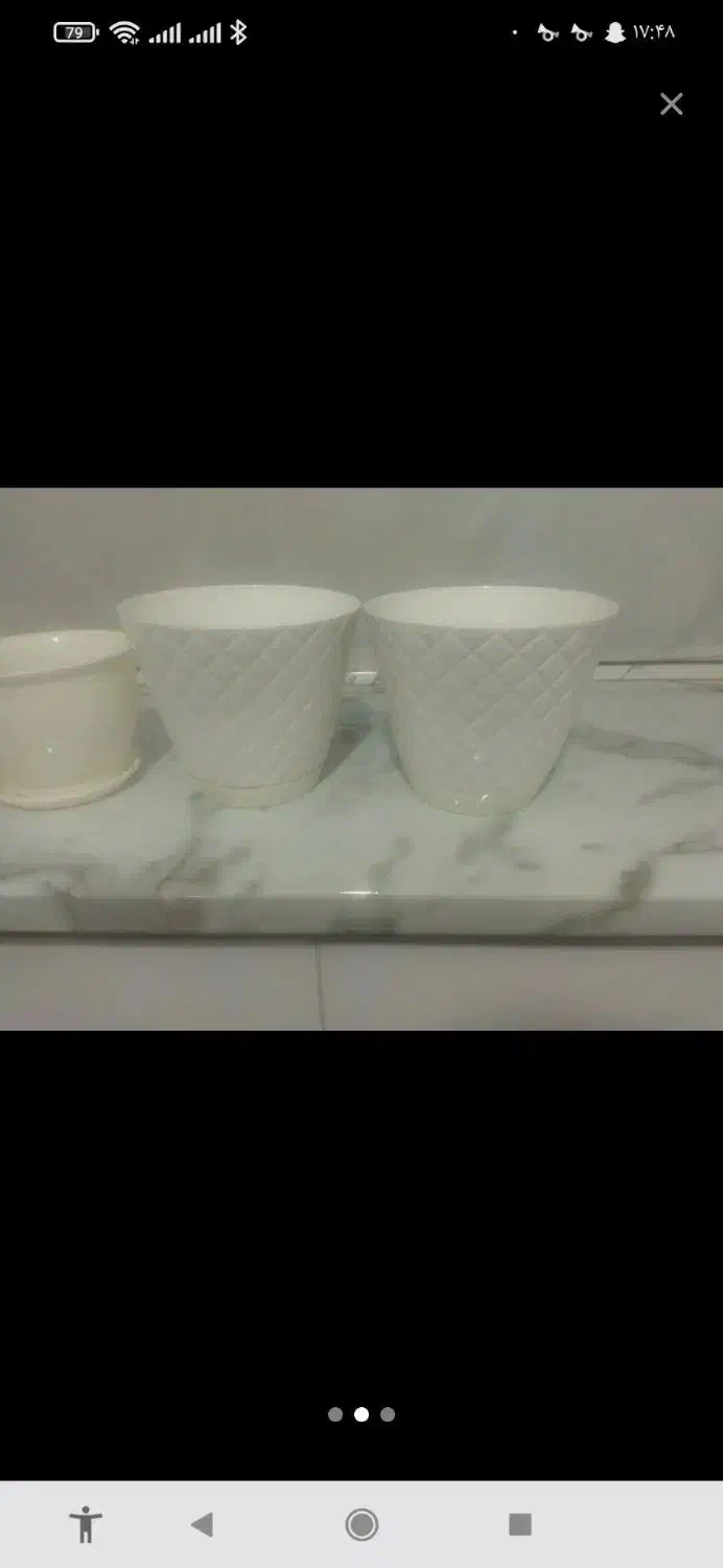 گلدان پلاستیکی|گل و گیاه طبیعی|بهارستان, |دیوار