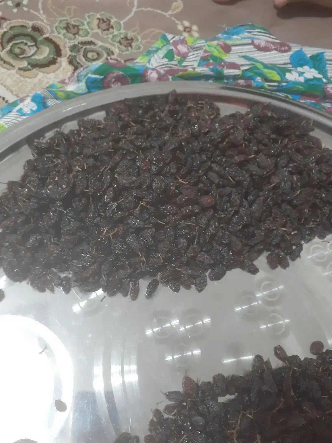 فاخری|خوردنی و آشامیدنی|ملکان, |دیوار