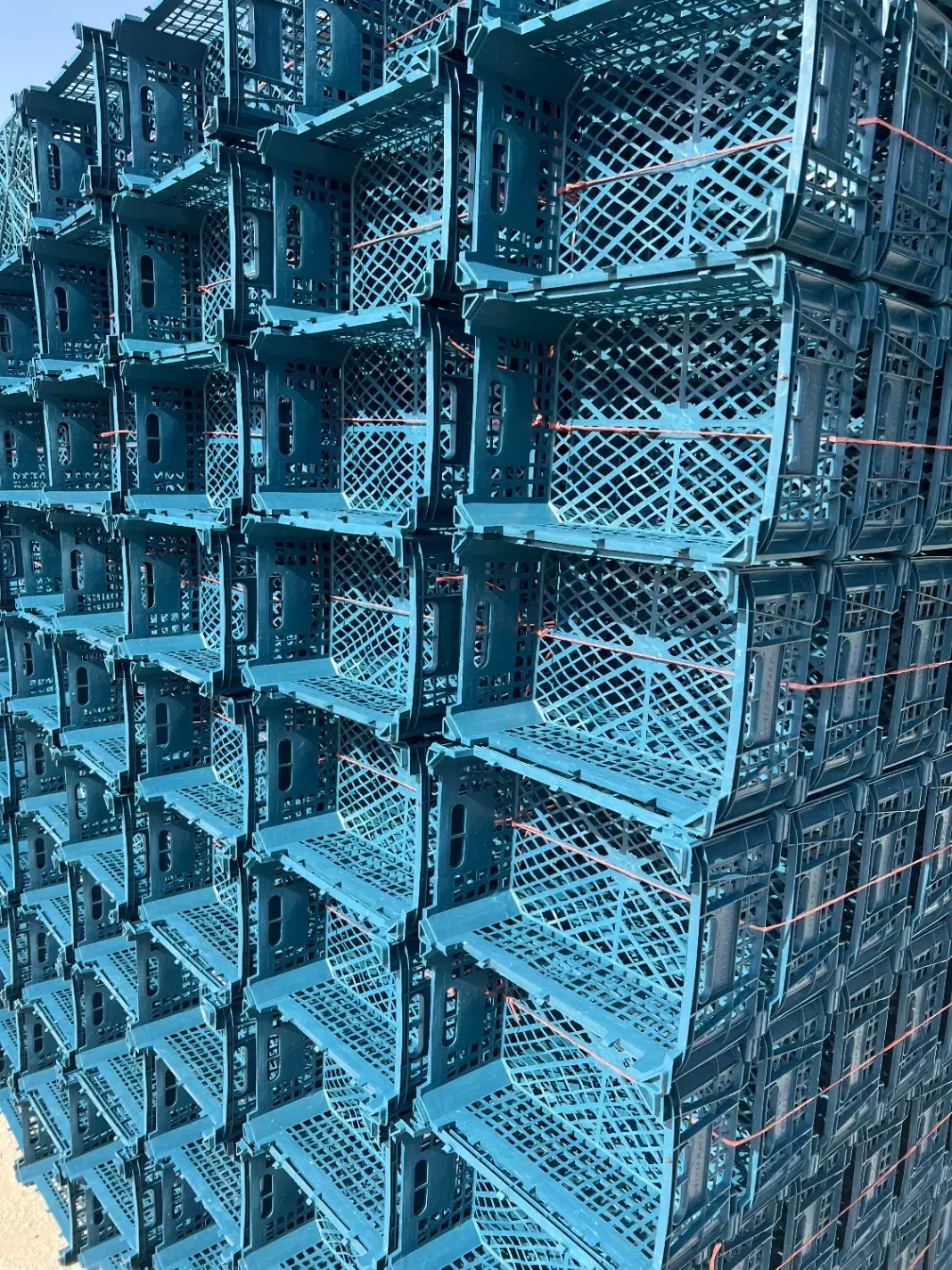 تولید کننده انواع سبدهای میوه|عمده‌فروشی|هشتگرد, تهران دشت|دیوار