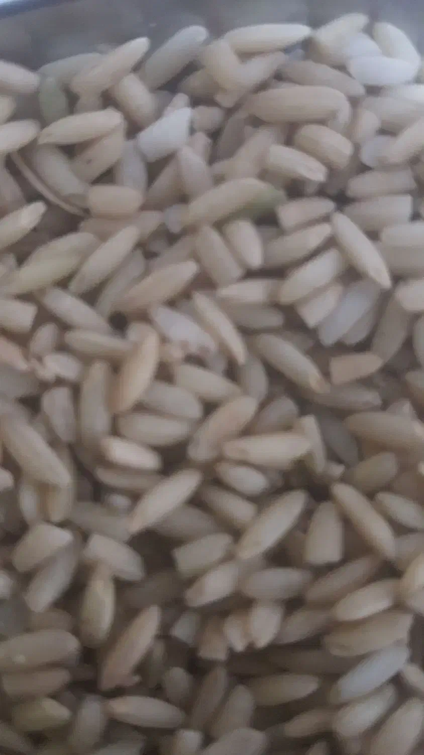 برنج عنبر بو قهوه ای ( سبوس دار )|خوردنی و آشامیدنی|بندر ماهشهر, |دیوار