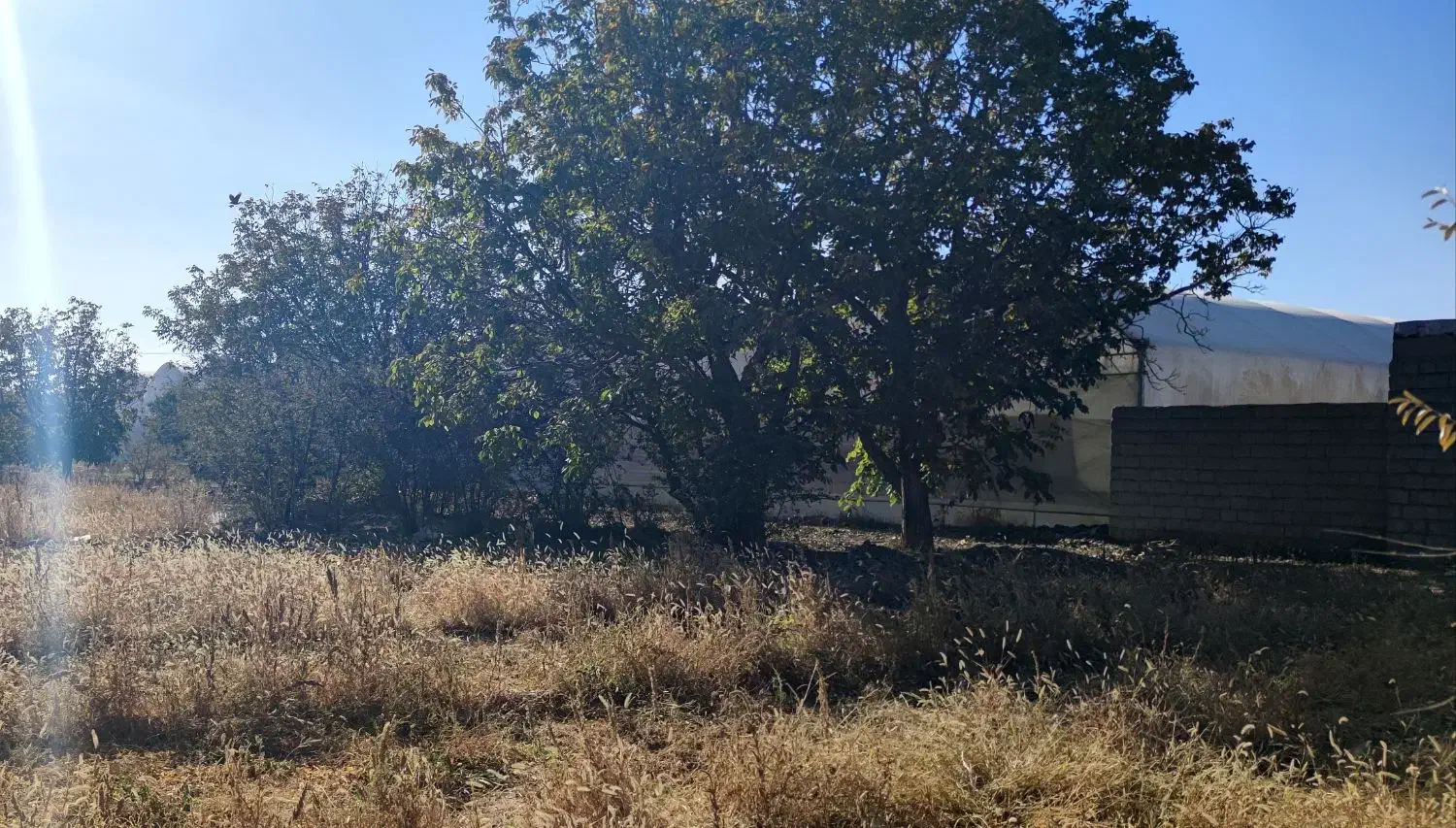 فروش یک قطعه زمین کشاورزی مناسب جهت احداث گلخانه|فروش زمین و ملک کلنگی|عسگران, |دیوار