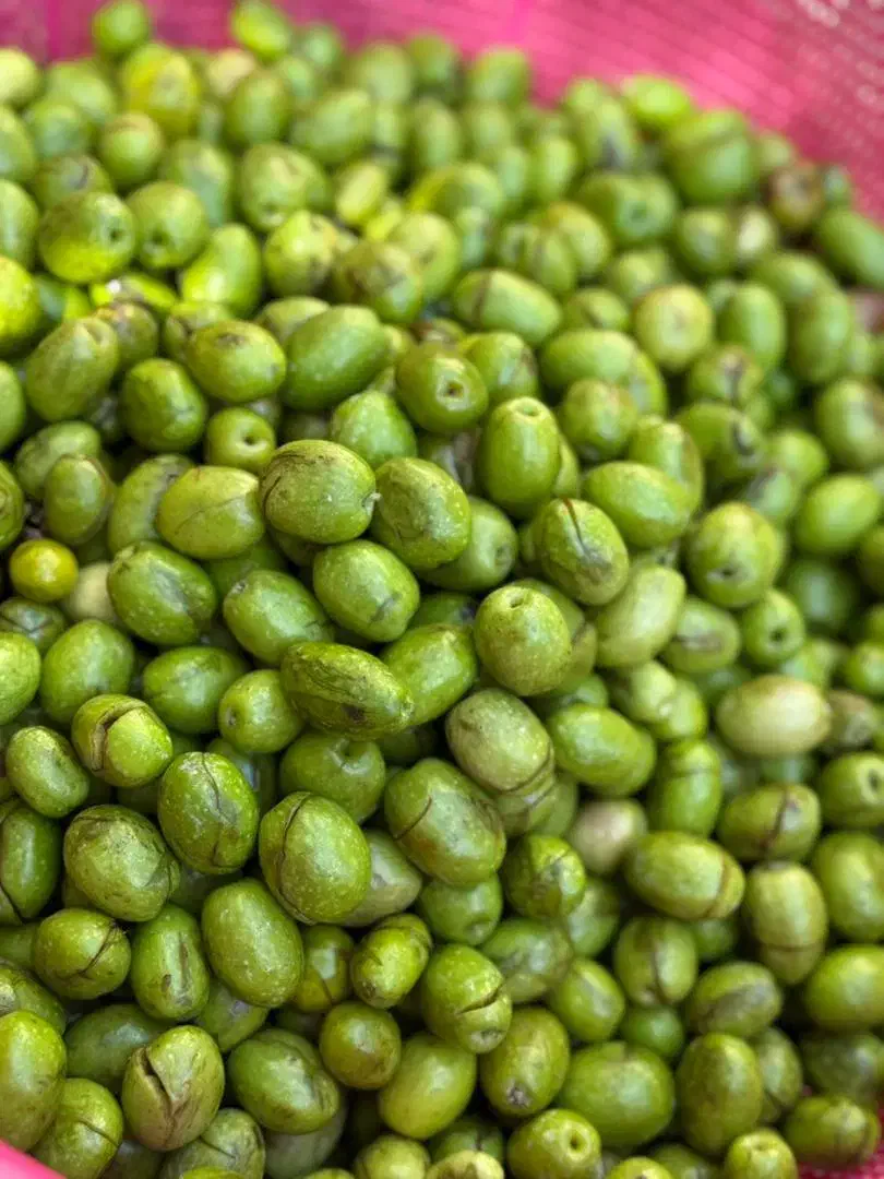 زیتون شکسته درشت وروغن زیتون|خوردنی و آشامیدنی|منجیل, |دیوار