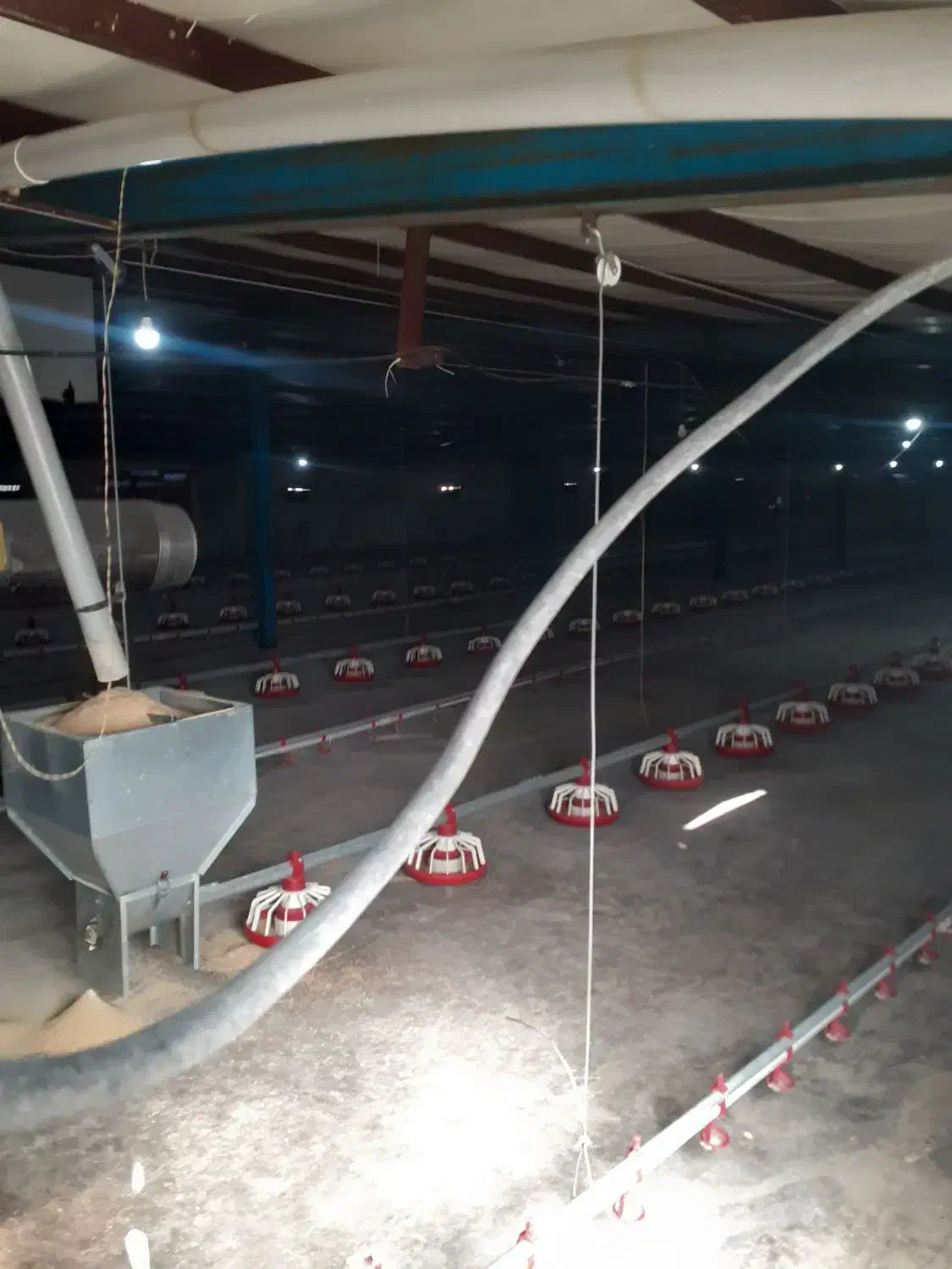 اجاره مرغداری ۱۸ هزار و پانصد قطعه ای|اجارهٔ دفتر صنعتی، کشاورزی، تجاری|سبزوار, رباط|دیوار