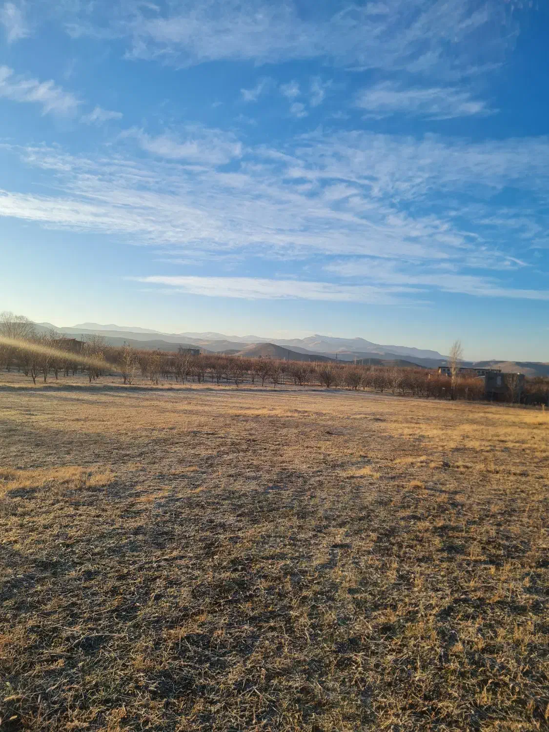 فروش یامعاوضه|فروش زمین و ملک کلنگی|شاهین دژ, |دیوار