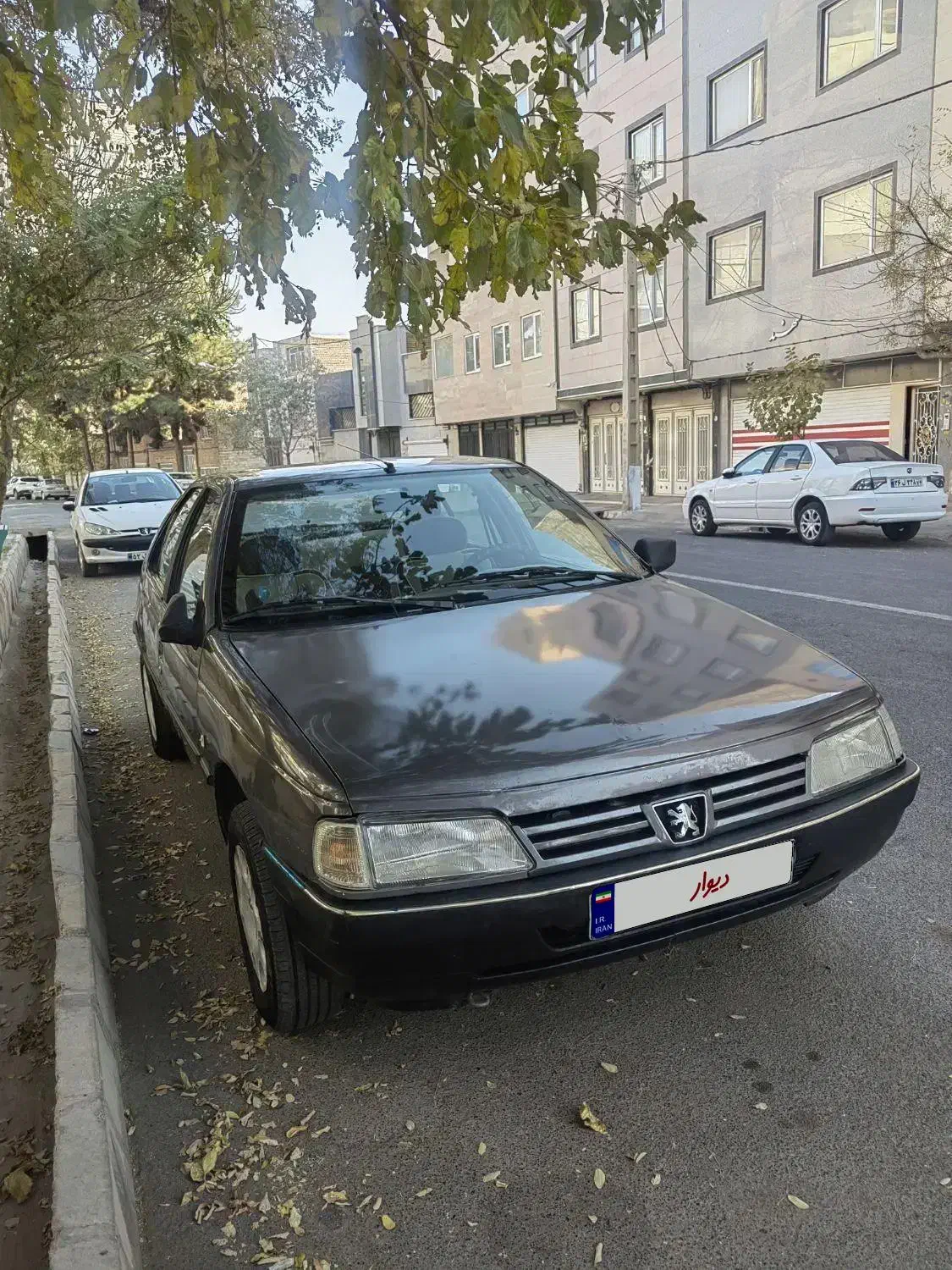 پژو روا دوگانه سوز مدل ۸۷|خودرو سواری و وانت|سبزوار, قصبه اب یمین|دیوار