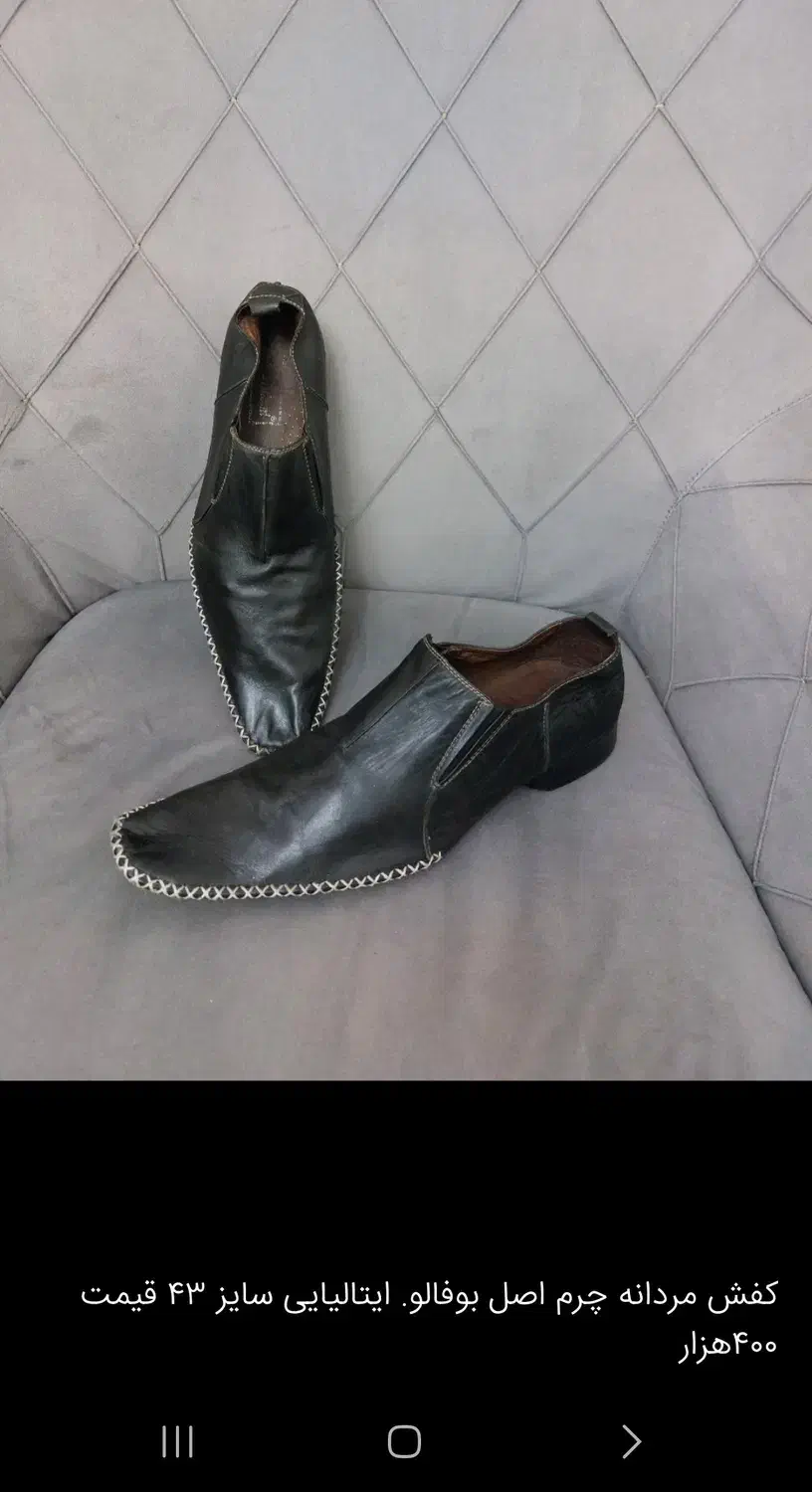 کفش زنانه و مردانه|کیف، کفش، کمربند|چالوس, |دیوار