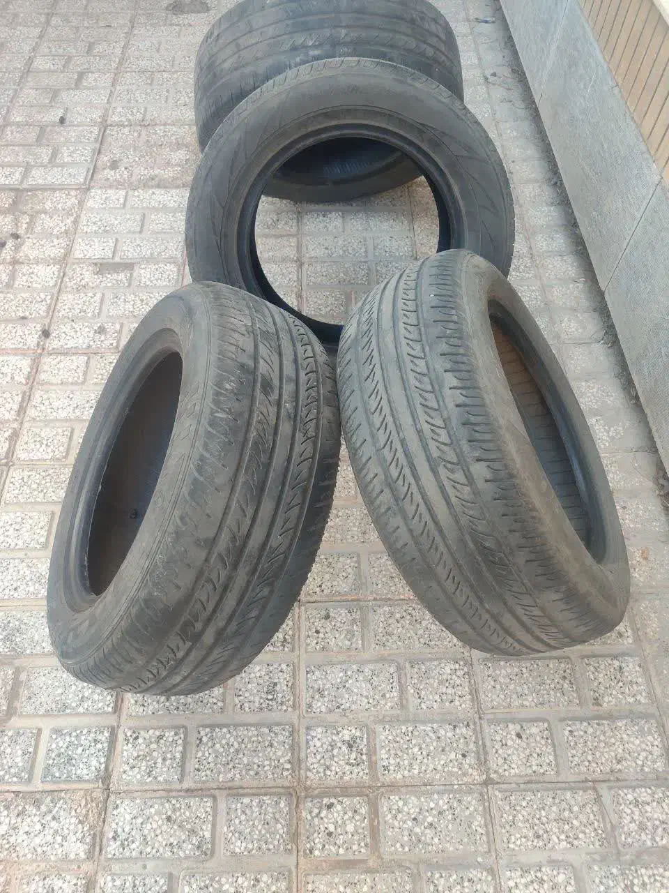 لاستیک|قطعات یدکی و لوازم جانبی|تربت‌حیدریه, پائین ولایت|دیوار