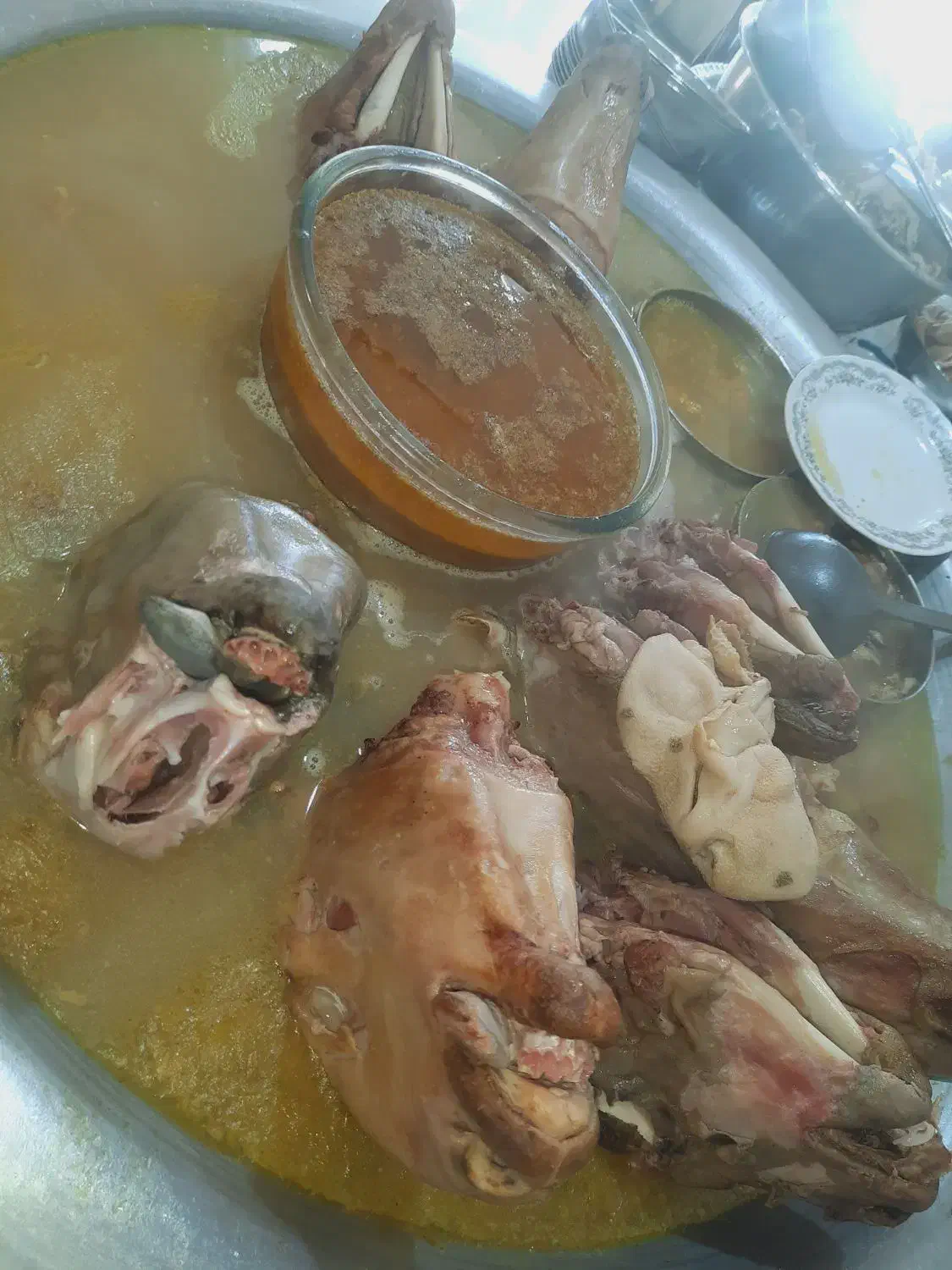 انواع کله پاچه خام و پخته با قیمت مناسب|خوردنی و آشامیدنی|لردگان, |دیوار