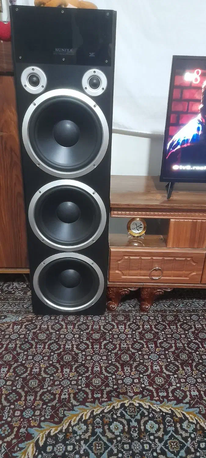 باند بیس دار|سیستم صوتی خانگی|ایلخچی, |دیوار