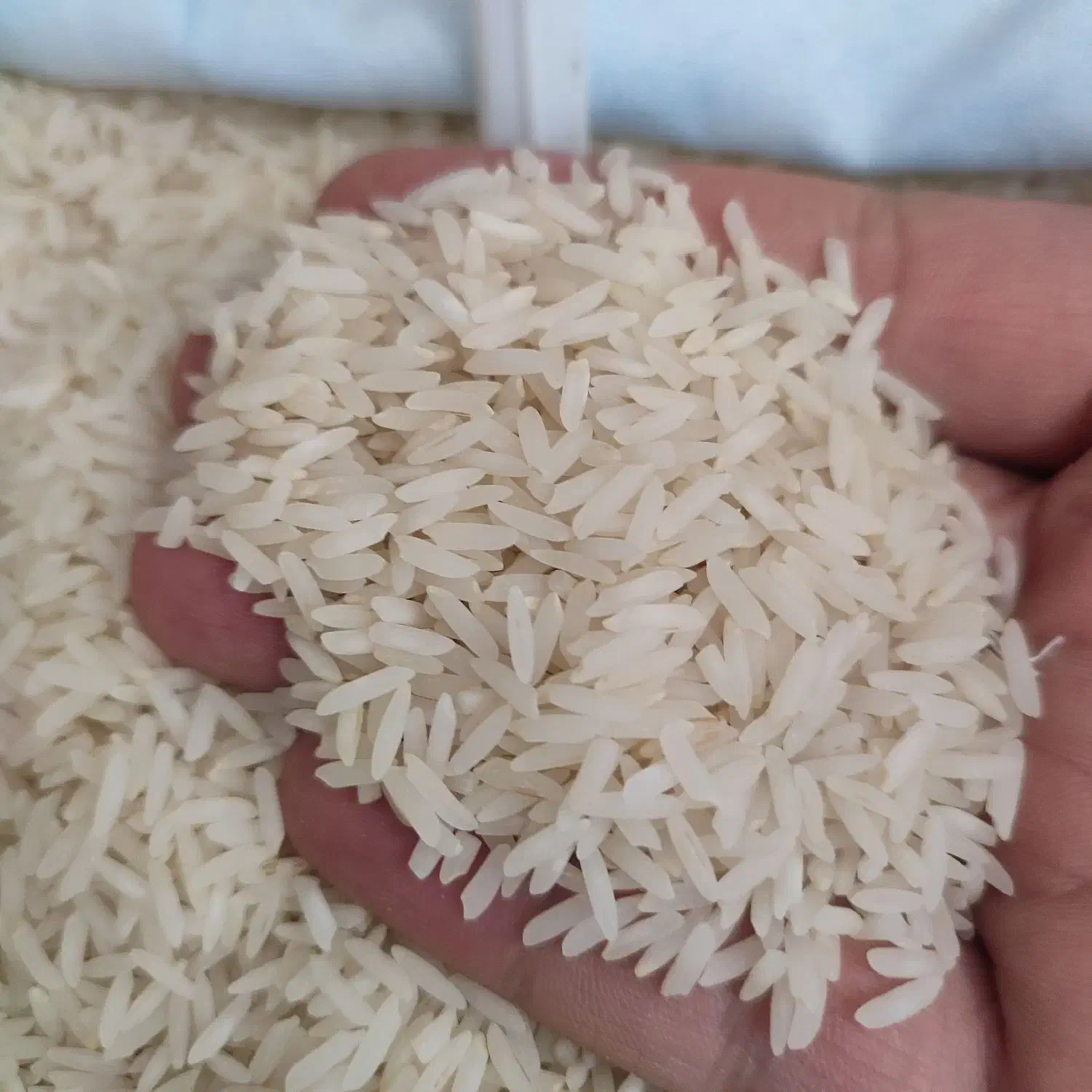 برنج استخوانی خوشپخت|خوردنی و آشامیدنی|خمینی‌شهر, |دیوار