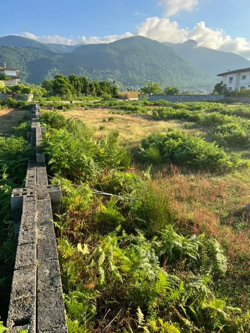 1000مترسند تک برگ با کابری مسکونی و پروانه ساخت|فروش زمین و ملک کلنگی|چابکسر, |دیوار