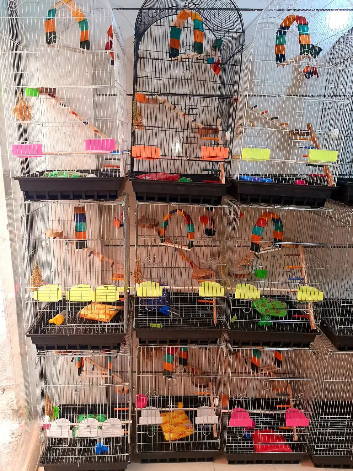 انواع قفس|لوازم جانبی حیوانات|تهران, شهرک ابوذر|دیوار