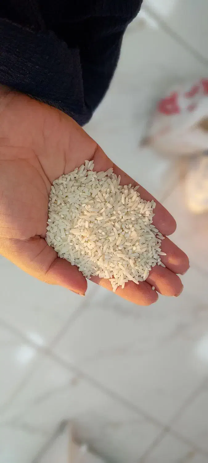 انواع برنج ایرانی|خوردنی و آشامیدنی|نهاوند, |دیوار