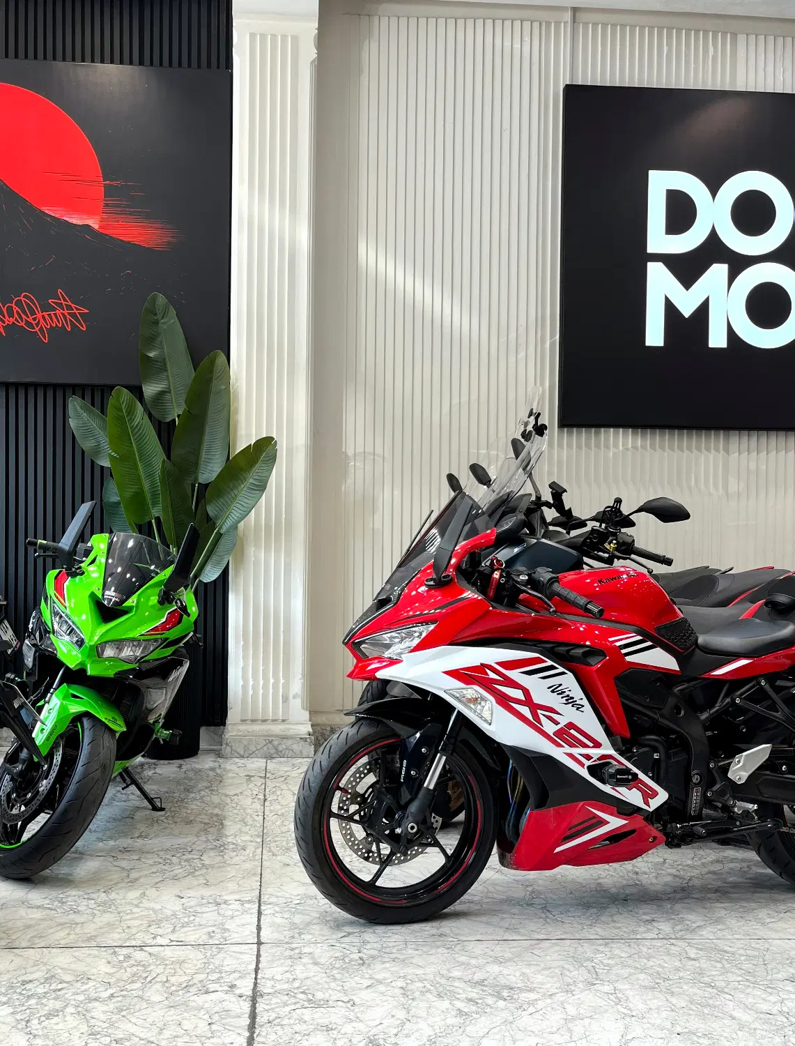 فروشگاه دکتر موتور / kawasaki/ نینجا 250/ 4 سیلندر|موتورسیکلت|تهران, اسکندری|دیوار
