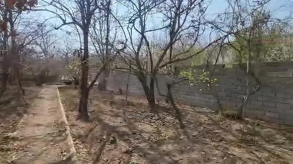 باغچه میوه معاوضه با آپارتمان|فروش زمین و ملک کلنگی|تهران, بهاران|دیوار