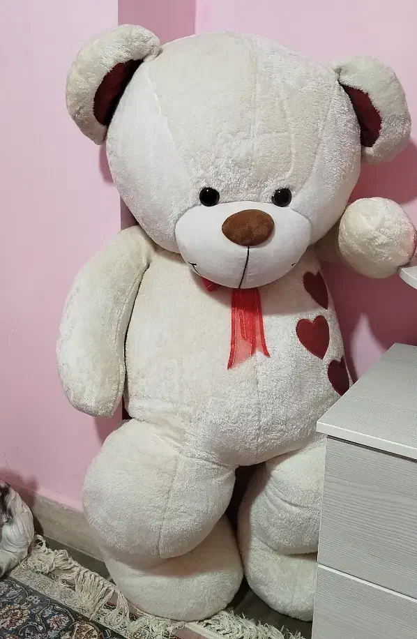 خرس بزرگ|اسباب‌بازی بچه|صدرا-فارس, فاز ۲|دیوار