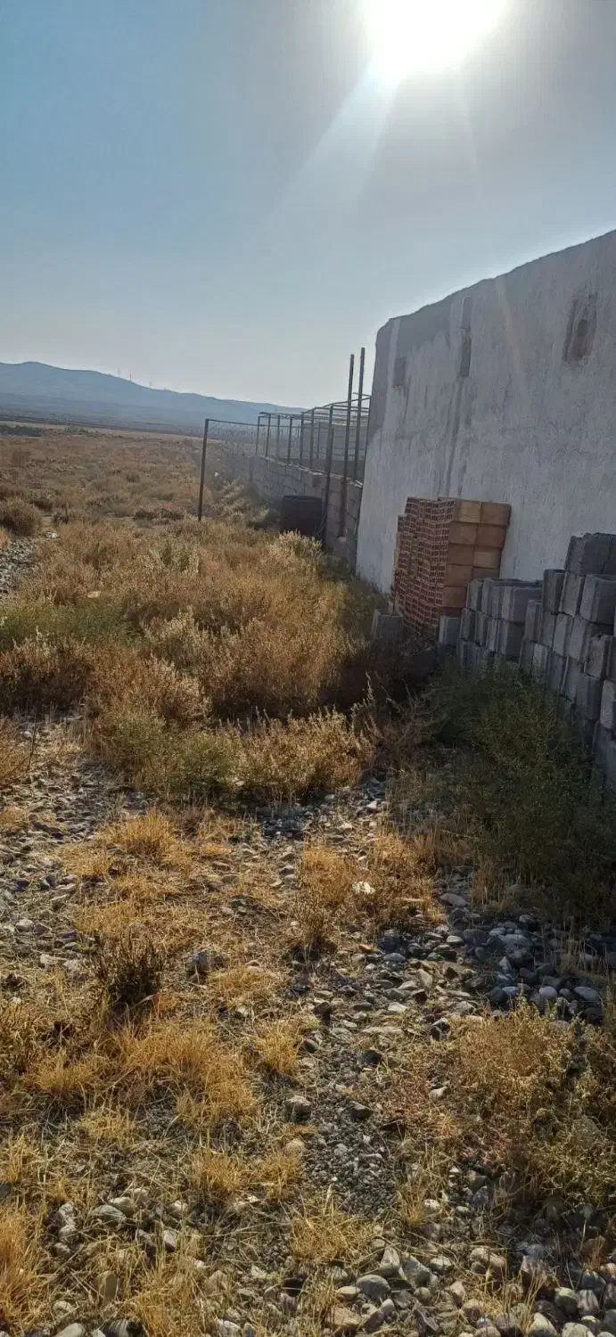 زمین کشاورزی در جاده چشمه|فروش زمین و ملک کلنگی|ایواوغلی, |دیوار