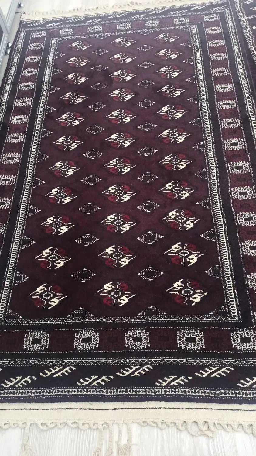 آلتی قارش|فرش|بندر ترکمن, |دیوار