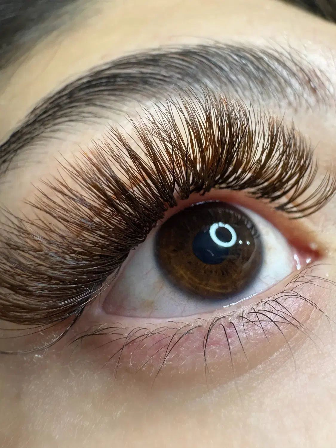 اکستنشن و لیفت مژه با قیمت مناسب|خدمات آرایشگری و زیبایی|یاسوج, |دیوار