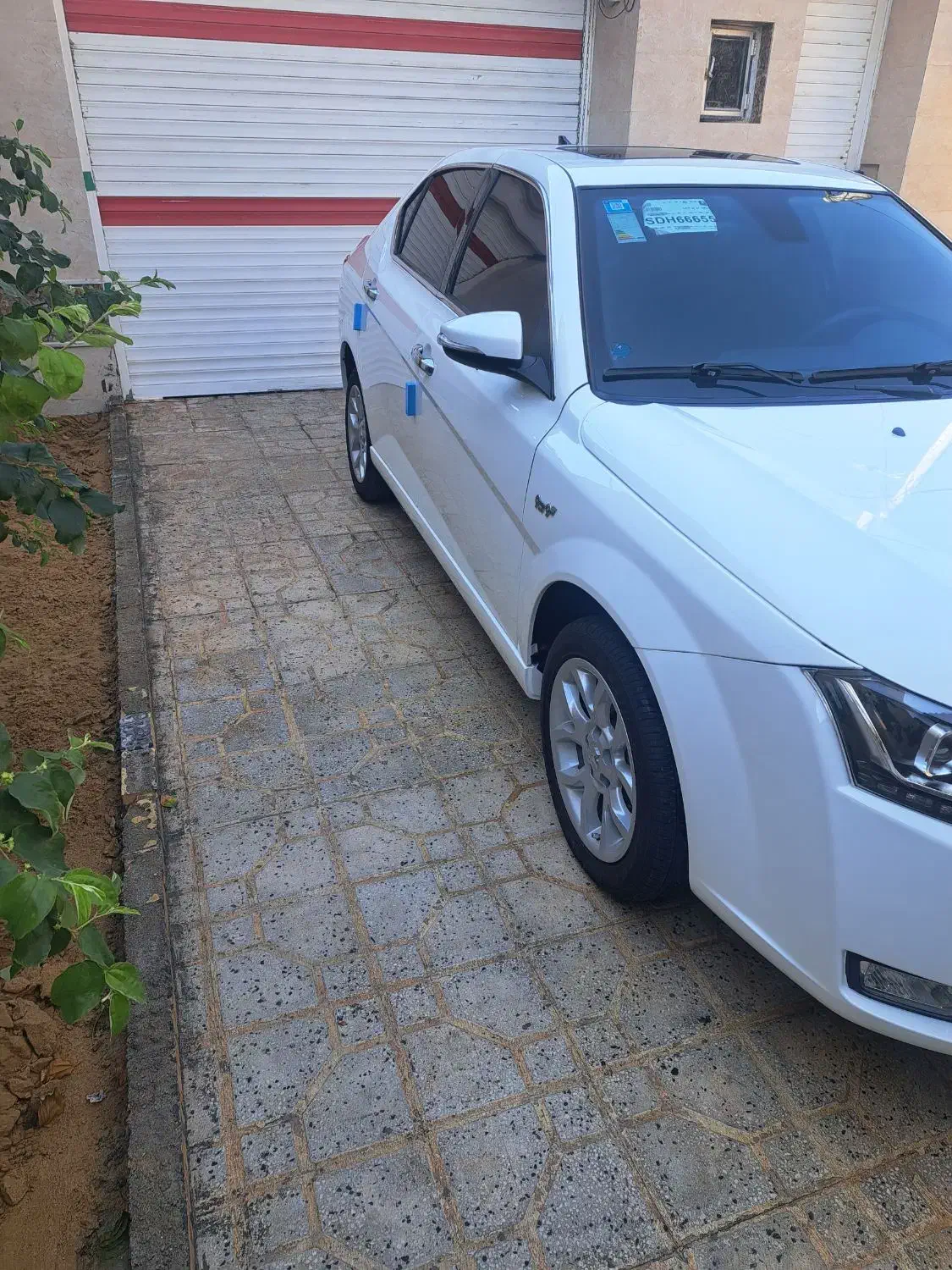 دنا پلاس آبشنال اتوماتیک|خودرو سواری و وانت|بوشهر, |دیوار