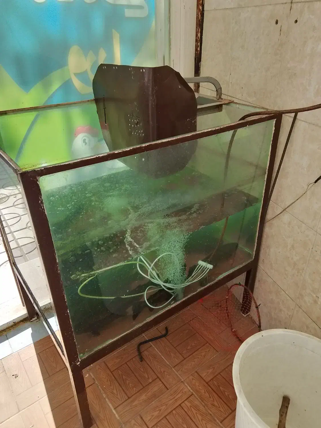 وسایل مرغ فروشی  و آکواریم و منقل|ماهی|مریوان, |دیوار