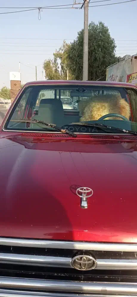 تویوتا 1993|خودرو سواری و وانت|سراوان, |دیوار