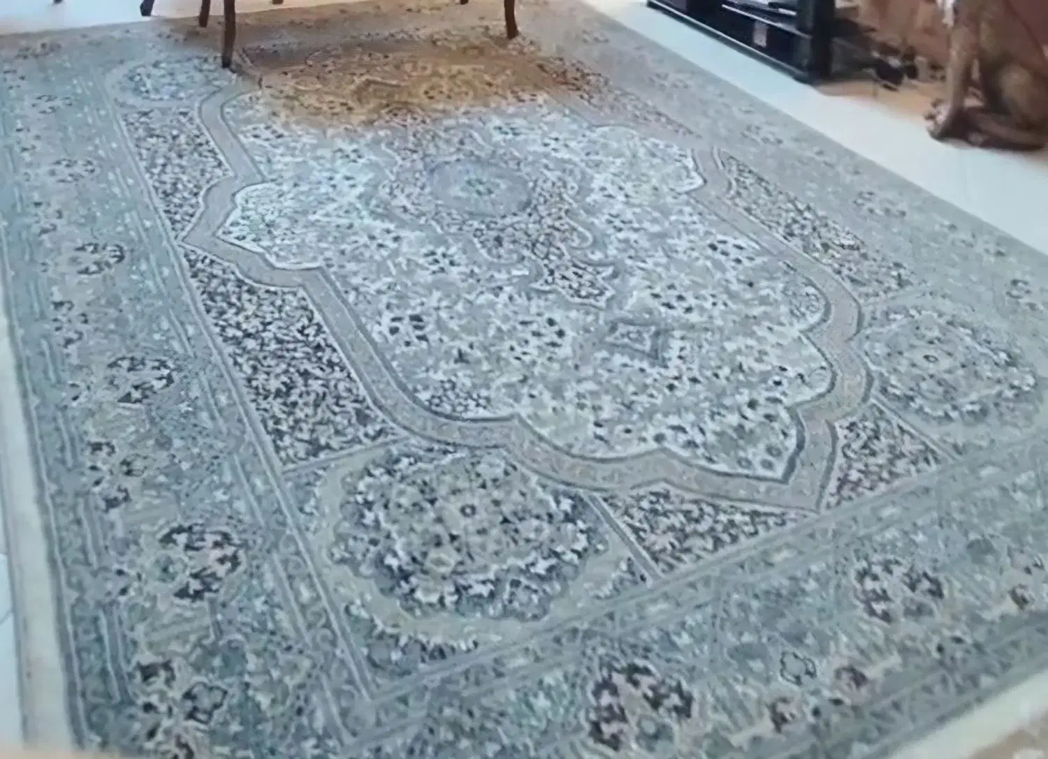 فرش ۹ متری ستاره کویر به همراه کناره|فرش|مشهد, رضاشهر|دیوار