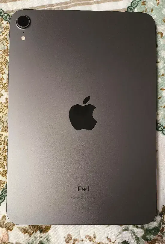 ipad mini 6|تبلت|اصفهان, ارغوانیه|دیوار