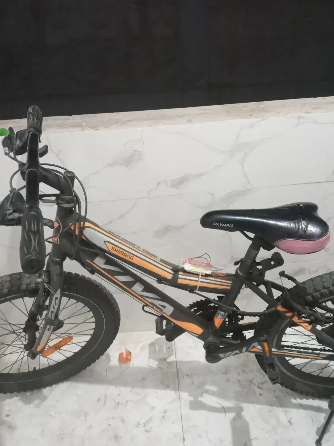 دوچرخه سایز ۲۰|دوچرخه، اسکیت، اسکوتر|کرج, خرمدشت|دیوار